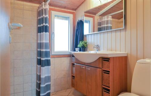BjerregårdにあるNice Home In Hvide Sande With Saunaのバスルーム(洗面台、鏡付)