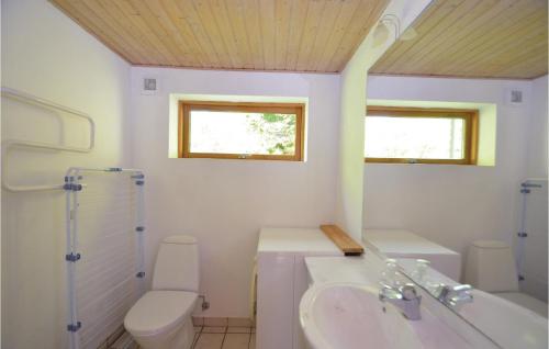ゲッサーにあるAwesome Home In Gedser With 3 Bedrooms And Wifiの白いバスルーム(トイレ、シンク付)