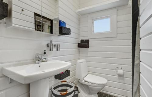 ein weißes Bad mit einem Waschbecken und einem WC in der Unterkunft Stunning Home In Glesborg With Wifi in Glesborg