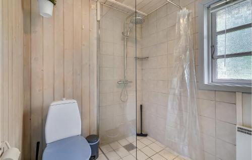 a bathroom with a shower with a toilet at Pet Friendly Home In Ansager With Kitchen in Ansager