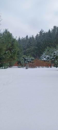 a snow covered field with trees in the background at sosnowelowe in Lamkowo
