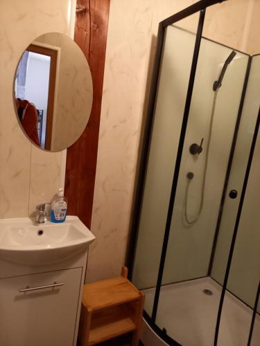 a bathroom with a shower and a sink and a mirror at ZACISZE in Karłów