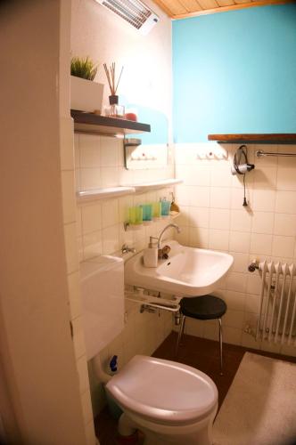 a bathroom with a white toilet and a sink at Haus Sonnenalm in Bad Mitterndorf