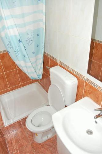a bathroom with a toilet and a sink and a shower curtain at Village House in Cres