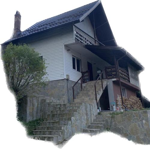 ein Haus mit Treppen, die zu ihm führen in der Unterkunft Diana's Holiday Home in Podu Dîmboviţei