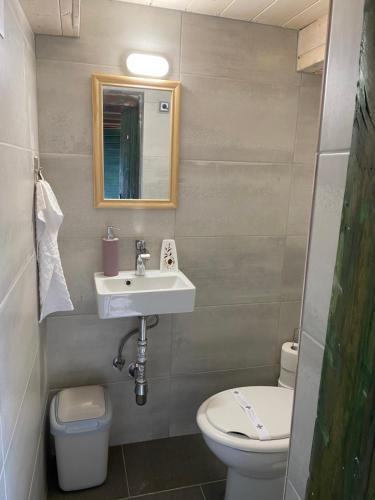 a bathroom with a sink and a toilet and a mirror at Country House Novosel in Duga Resa