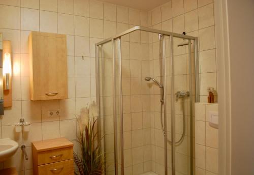 eine Dusche mit Glastür im Bad in der Unterkunft Meerblick App.17 in Ahlbeck