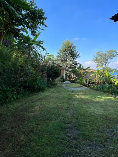 a driveway leading to a house with trees and grass at Avocado Accommodations in Khadkagaon