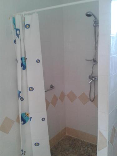 a bathroom with a shower with a shower curtain at Sans Souci in Cahuzac