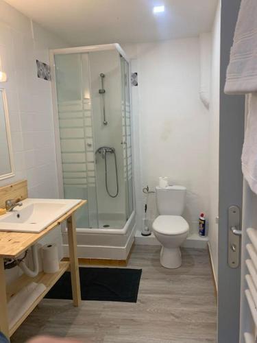 une salle de bain avec une douche, des toilettes et un lavabo dans l'établissement Charmant appartement 2 chambres dans le centre historique, à Orange