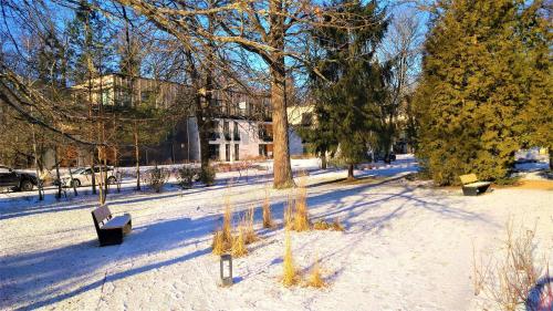 un parc avec des bancs et des arbres dans la neige dans l'établissement Enklawa Białowieska Forest & Spa, à Hajnówka