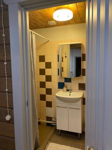 a bathroom with a sink and a mirror at Dzirnavkalns in Cesvaine