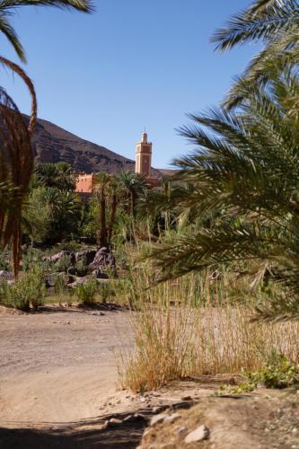 a beach with palm trees and a building in the background at Riad Parfums de OUARZAZATE in Ouarzazate
