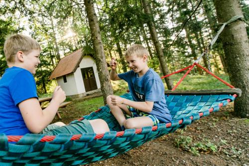 two boys sitting in a hammock in the woods at Zwergerlhof in Loich