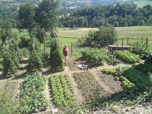 a man standing in a garden with crops at Agriturismo Alla Vecchia Quercia in Pergola