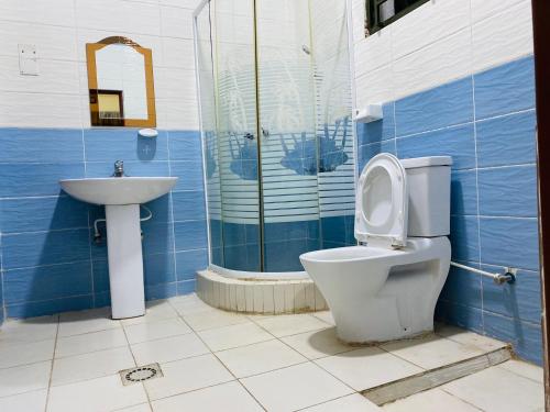a bathroom with a toilet and a sink at Virunga Homestays in Ruhengeri