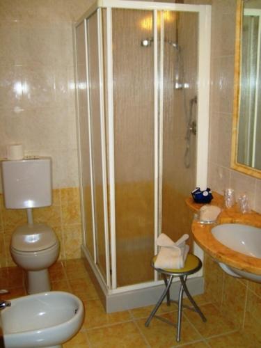 a bathroom with a shower and a toilet and a sink at Albergo Marenghi in Tabiano