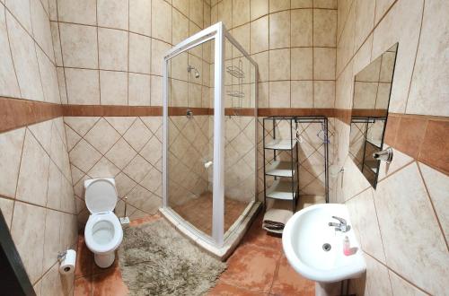 a bathroom with a shower and a toilet and a sink at Casa Feliz in Mokopane