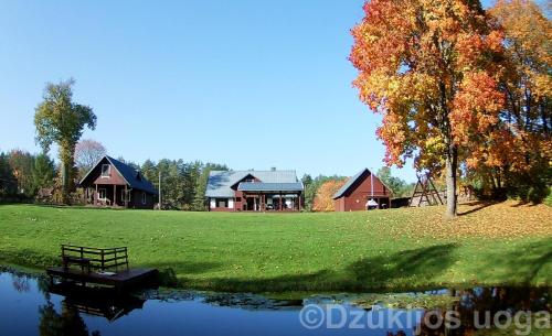 Viršurodukis的住宿－Dzūkijos uoga，湖畔公园,设有房屋和长凳