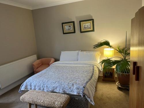 una camera con letto, sedia e pianta di Pilgrims Retreat a Kent