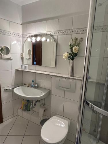 a bathroom with a toilet and a sink and a mirror at ROD32 Ferienwohnung Schneider in Niendorf