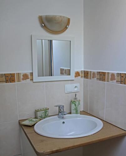 une salle de bain avec un lavabo blanc et un miroir dans l'établissement la charbonniere, à Florac Trois Riviere