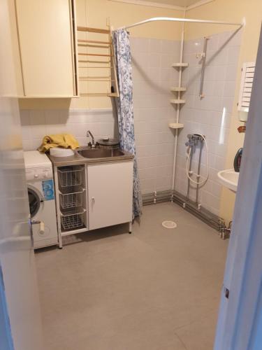 een badkamer met een wastafel en een wasmachine bij Större gäststuga 