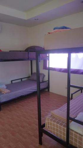 a room with several bunk beds in it at Boy Scouts Homestay in Ban Nua