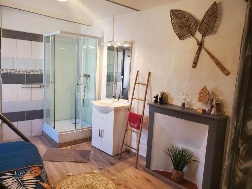 サン・タンブロワにあるLe Phoenix 30 m2 - lumineux et bien agencéのバスルーム(シャワー、シンク、鏡付)