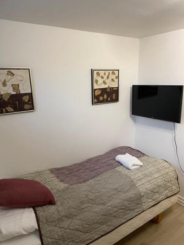ヴィボーにあるkabyssenのベッドルーム(ベッド1台、薄型テレビ付)