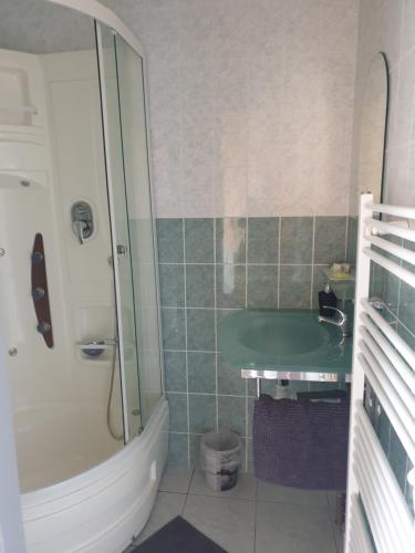 y baño con ducha y lavabo verde. en LA DOLCE VITA en Bretenière