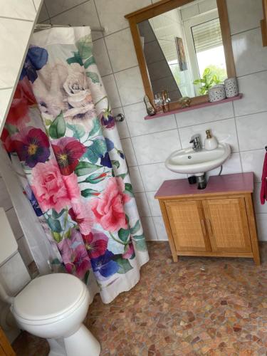 a bathroom with a toilet and a sink and a shower curtain at City Appartment mit Gartennutzung in Bremen