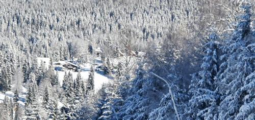 a ski lodge in the middle of a snow covered forest at Pension Vinkl in Harrachov