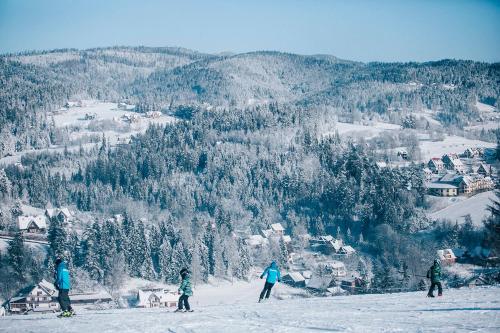 a group of people skiing down a snow covered mountain at Apartamenty w Gorcach in Nowy Targ