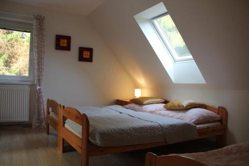 a bedroom with two beds and a skylight at Apartmány Mamut Harrachov in Harrachov