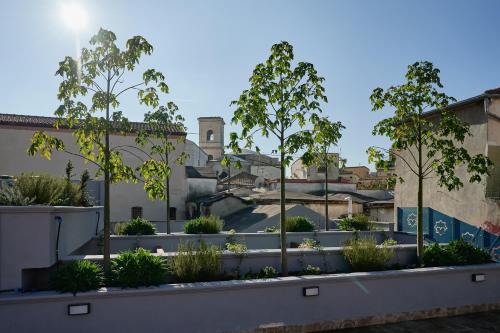 a rooftop garden with trees and plants at Mamaco I Teatro Rooms in Foggia