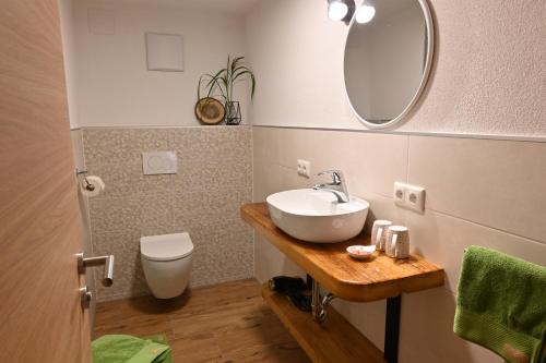 La salle de bains est pourvue d'un lavabo, de toilettes et d'un miroir. dans l'établissement Biohof Auinger, der Tiererlebnishof, à Aurach am Hongar