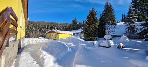 Gallery image of Apartmány Mamut Harrachov in Harrachov