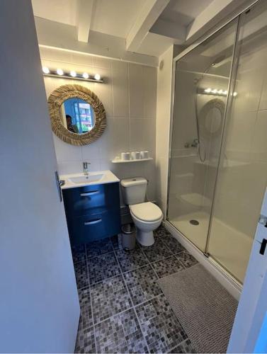 une salle de bain avec toilettes, lavabo et douche dans l'établissement Appartement lumineux Capbreton, à Capbreton