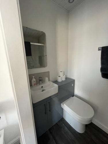 a bathroom with a white toilet and a sink at Harleys Reads Avenue in Blackpool