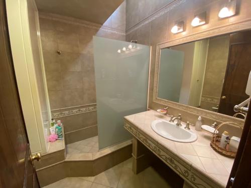 ein Bad mit einem Waschbecken und einem Spiegel in der Unterkunft Fuxia House Hostel in Mendoza