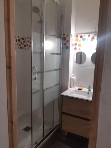 a bathroom with a shower and a sink at CHEZ ROSALIE 