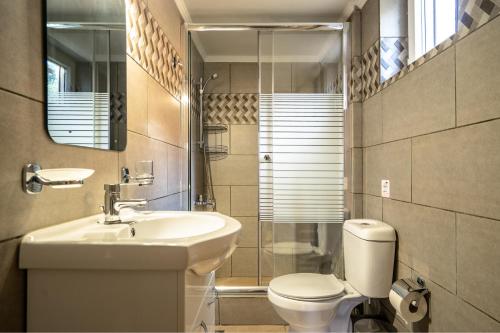 a bathroom with a sink and a toilet and a mirror at Zoi studio in Kefallonia