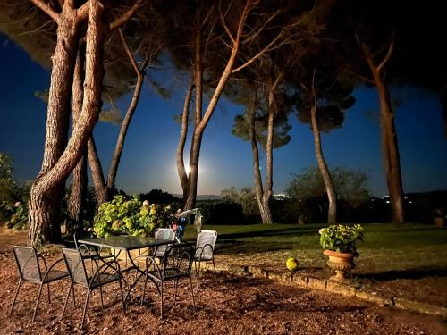Agriturismo Le Querciole – Photos 4