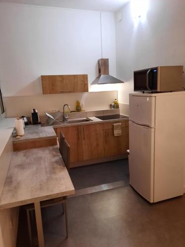 une cuisine avec un réfrigérateur blanc et un évier dans l'établissement Grand T1 au calme - Dijon centre, à Dijon