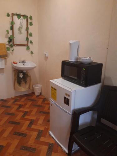 a microwave sitting on top of a refrigerator next to a sink at Cocoa Cabana in Scarborough