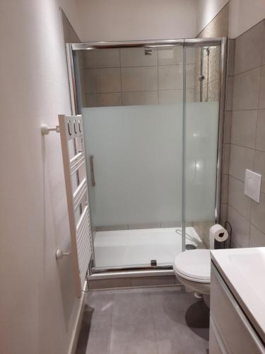 une salle de bain avec une douche en verre et des toilettes dans l'établissement Grand T1 au calme - Dijon centre, à Dijon