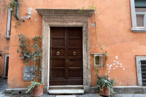 a large wooden door on a building with two plants at Vicolo San Trifone by Hili in Rome