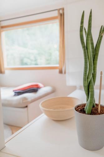 Gallery image of WOHNWAGON Tiny Houses I in Gutenstein