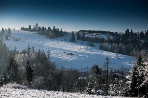 a snow covered slope with people skiing down a hill at Apartamenty w Gorcach in Nowy Targ